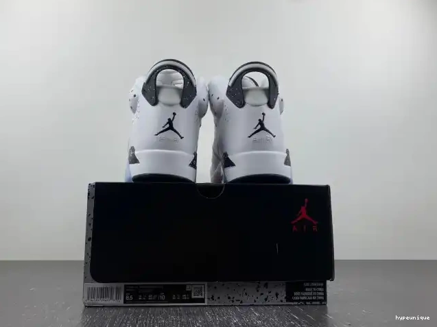 HYPE Reverse CT8529-112 Oreo Air Jordan 6 0501
